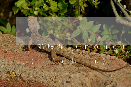 離婚取得農(nóng)村房屋財(cái)產(chǎn)