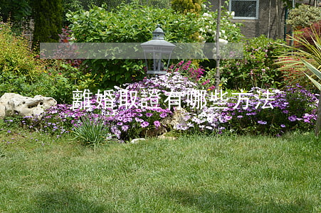 離婚取證有哪些方法