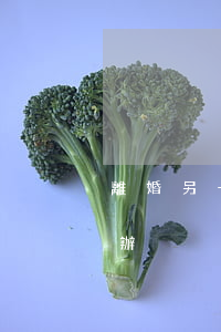 離婚另一方不肯進(jìn)司法解決怎么辦