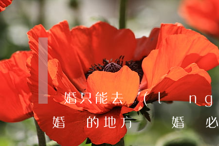 離婚只能去領(lǐng)取結(jié)婚證的地方嗎(離婚時必須去領(lǐng)結(jié)婚證的地方嗎)