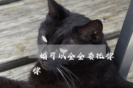 離婚可以全全委托律師嗎(離婚可以全全委托律師嗎)