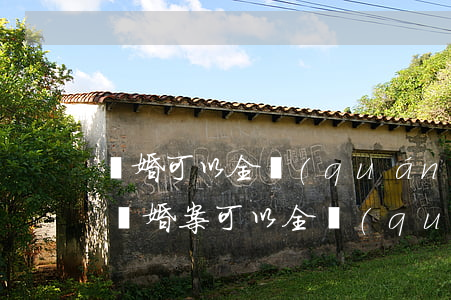離婚可以全權(quán)委托律師代理嗎(離婚案可以全權(quán)委托律師嗎)