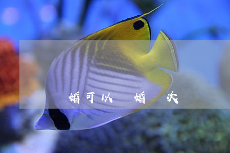 離婚可以復婚幾次