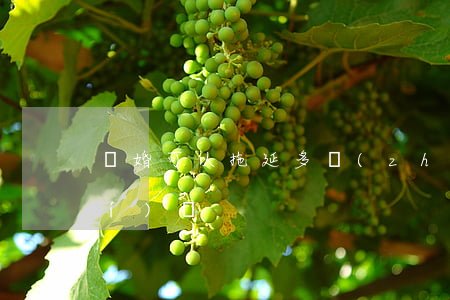 離婚可以拖延多長(zhǎng)時(shí)間