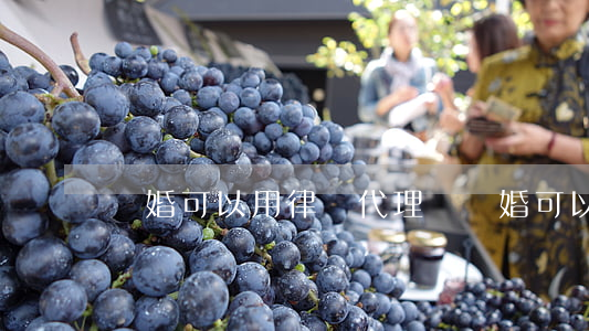 離婚可以用律師代理嗎(離婚可以用律師代理嗎)