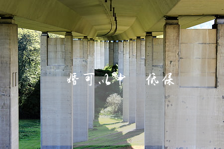 離婚可以申請低保嗎