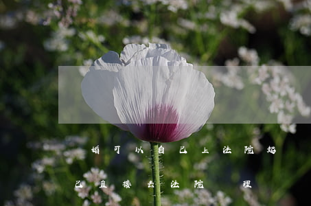 離婚可以自己上法院起訴嗎(起訴離婚可以自己直接去法院辦理嗎)