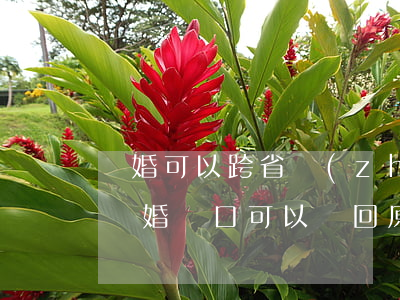 離婚可以跨省轉(zhuǎn)戶口嗎(跨省離婚戶口可以遷回原地嗎)