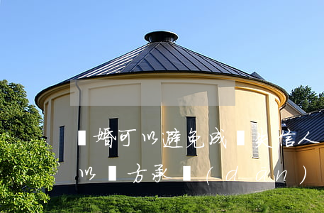 離婚可以避免成為失信人嗎(失信人員離婚可以單方承擔(dān)嗎)