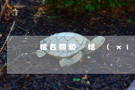 離婚合同和離婚協(xié)議丟了怎么辦