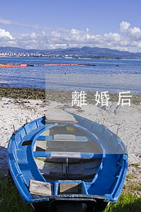 離婚后.調(diào)教小說