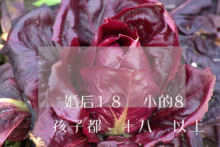 離婚后18歲小的8歲會(huì)判給誰(孩子都滿十八歲以上,離婚怎么判)