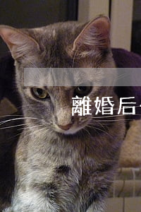 離婚后一年了又想簽協(xié)議怎么辦