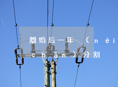 離婚后一年內(nèi)財(cái)產(chǎn)分割
