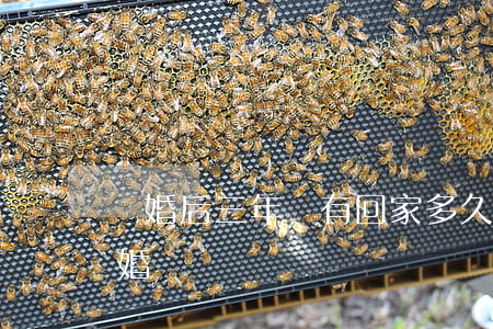 離婚后三年沒有回家(多久不回家可以提出離婚)