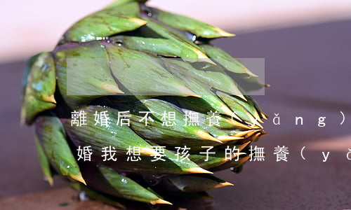 離婚后不想撫養(yǎng)孩子怎么辦(離婚我想要孩子的撫養(yǎng)權(quán)怎么辦)