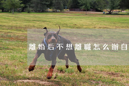 離婚后不想離職怎么辦(自己不想離婚)
