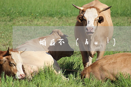 離婚后不會(huì)見孩子怎么辦
