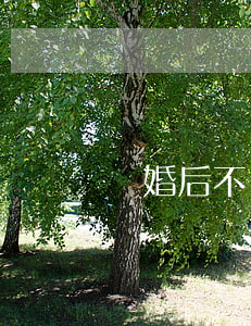 離婚后不聯(lián)系前夫怎么辦
