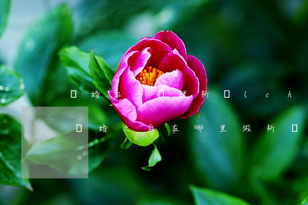 離婚后不辦理析產(chǎn)有什么壞處(離婚之后在哪里做析產(chǎn))