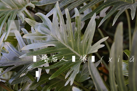 離婚后人壽保險(xiǎn)協(xié)議