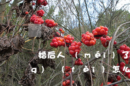 離婚后人沒(méi)了不給撫養(yǎng)費(fèi)怎么辦