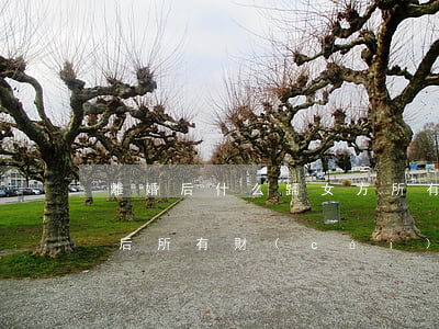 離婚后什么歸女方所有(協(xié)議離婚后所有財(cái)產(chǎn)歸女方)