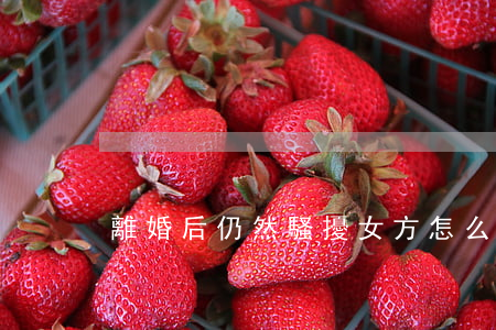 離婚后仍然騷擾女方怎么辦