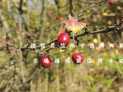 離婚后信用卡逾期和前妻有關(guān)系嗎（離婚前信用卡逾期女方會(huì)受牽連嗎）