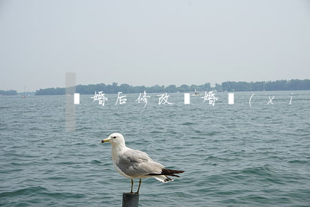 離婚后修改離婚協(xié)議有效嗎