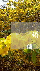 離婚后借錢給前妻要起訴她還錢嗎-離婚后借錢給前妻要起訴她還錢嗎怎么辦