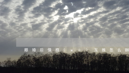 離婚后債務(wù)互推怎么辦