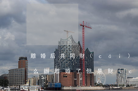 離婚后共同財(cái)產(chǎn)怎么辦(離婚了但是財(cái)產(chǎn)是共同的)