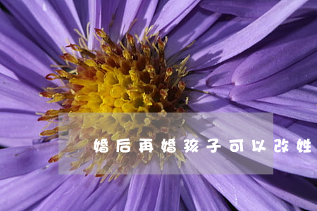 離婚后再婚孩子可以改姓嗎