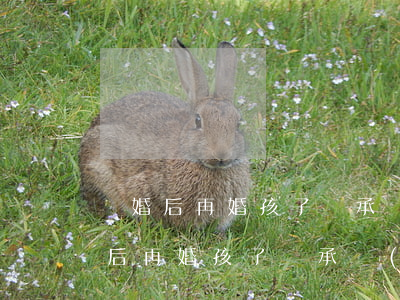 離婚后再婚孩子繼承權(quán)嗎(離婚后再婚孩子繼承權(quán)嗎)