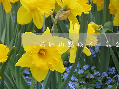 離婚后再婚孩子該怎么辦