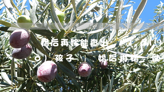 離婚后再嫁能查出來(lái)生過(guò)孩子嗎(離婚后再婚還能生孩子嗎)