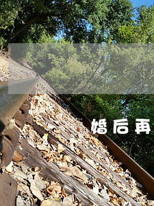 離婚后再復(fù)婚是二婚嗎