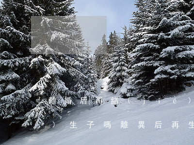 離婚后再結(jié)婚生一子是獨(dú)生子嗎(離異后再生一孩算獨(dú)生子嗎)