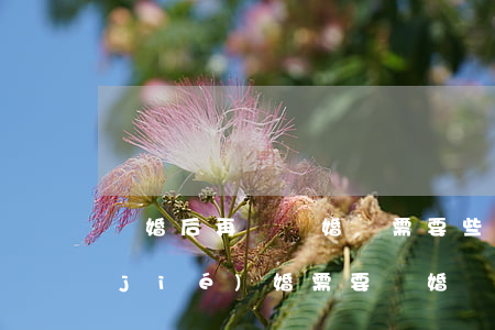 離婚后再辦離婚證需要些什么(離婚后再結(jié)婚需要離婚證嗎)