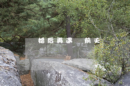 離婚后再遇見前夫
