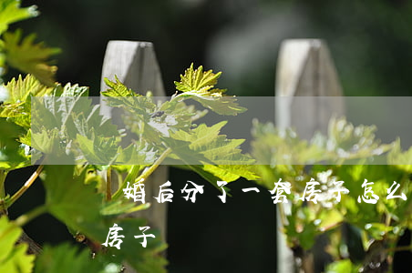 離婚后分了一套房子怎么辦(離婚了還能分到房子嗎?)