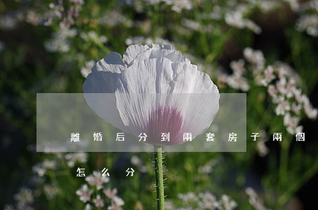 離婚后分到兩套房子(兩個孩子一套房子離婚怎么分)