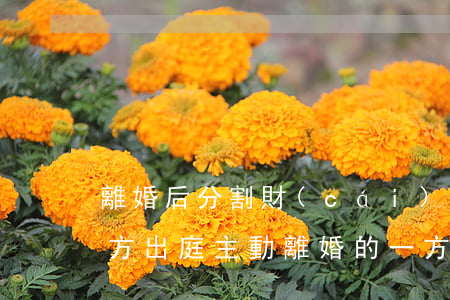 離婚后分割財(cái)產(chǎn)一方出庭(主動離婚的一方能分財(cái)產(chǎn)嗎)