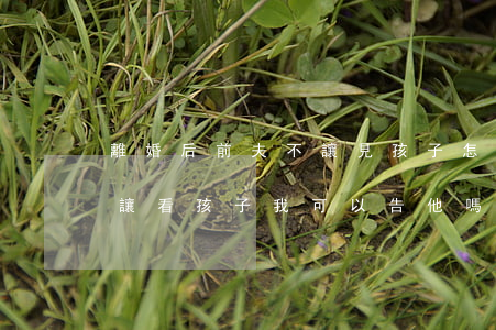 離婚后前夫不讓見孩子怎么辦(離婚了前夫不讓看孩子我可以告他嗎)
