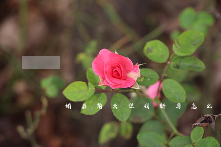 離婚后前夫住我新房怎么辦