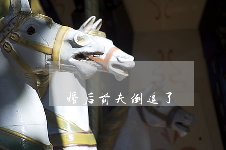 離婚后前夫倒追了