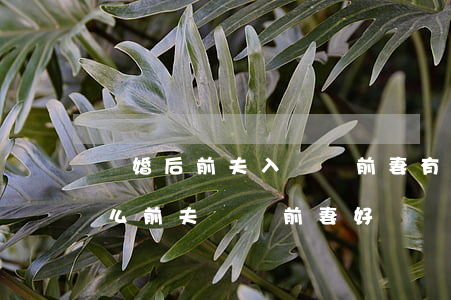 離婚后前夫入獄對前妻有影響嗎(離婚了為什么前夫還對前妻好)