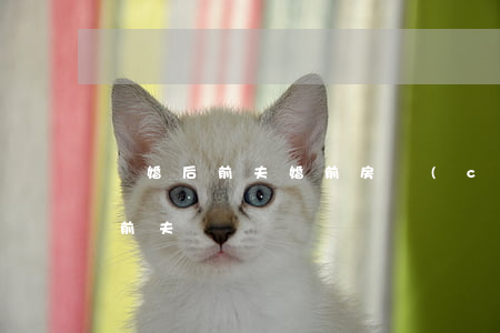 離婚后前夫婚前房產(chǎn)(離婚后在前夫)