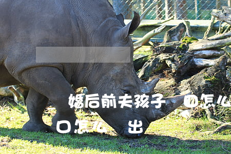 離婚后前夫孩子戶口怎么辦(和前夫離婚了戶口怎么遷出來)